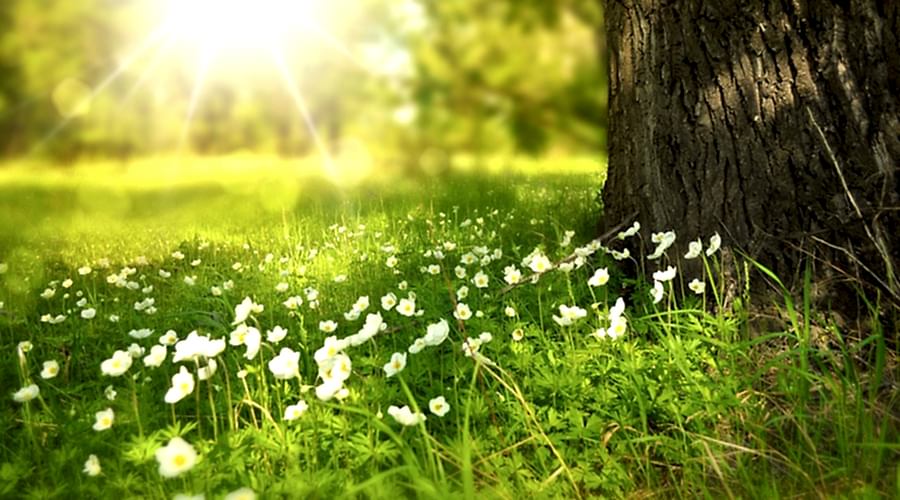 Energy Saving & Sustainability